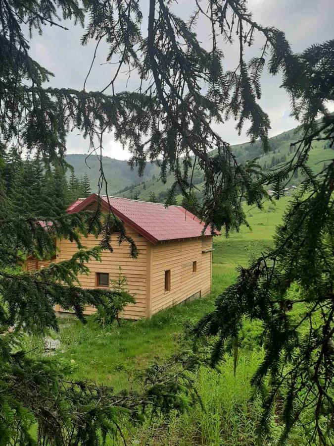Gago's Wooden House Séjour à la campagne Plav