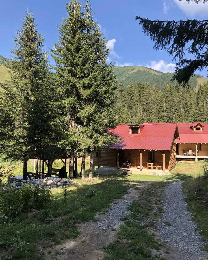 Gago's Wooden House Plav